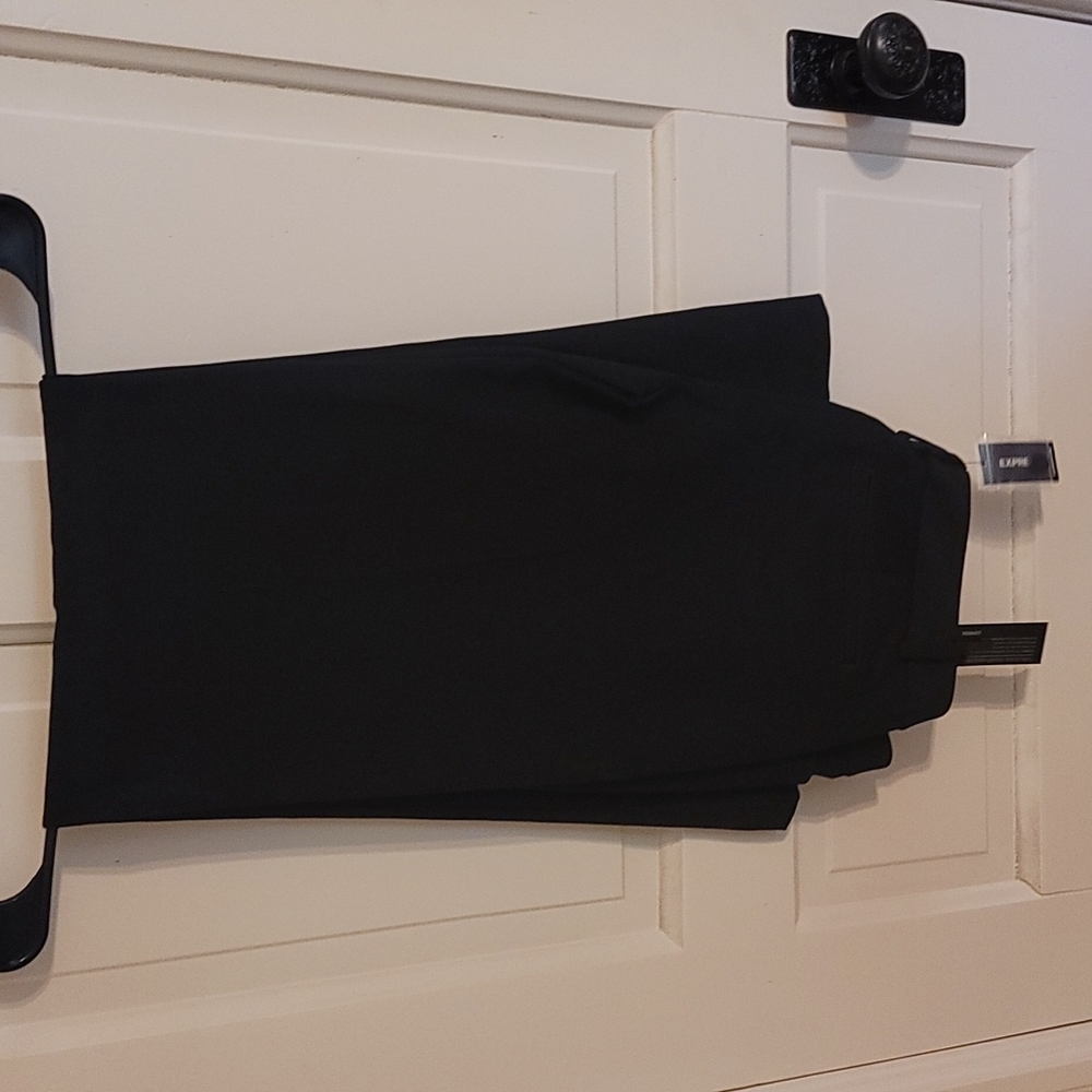 Express Columnist Pant 10L